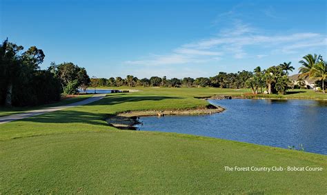 the forest golf and country club